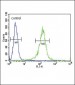 RDH10 Antibody (Center)